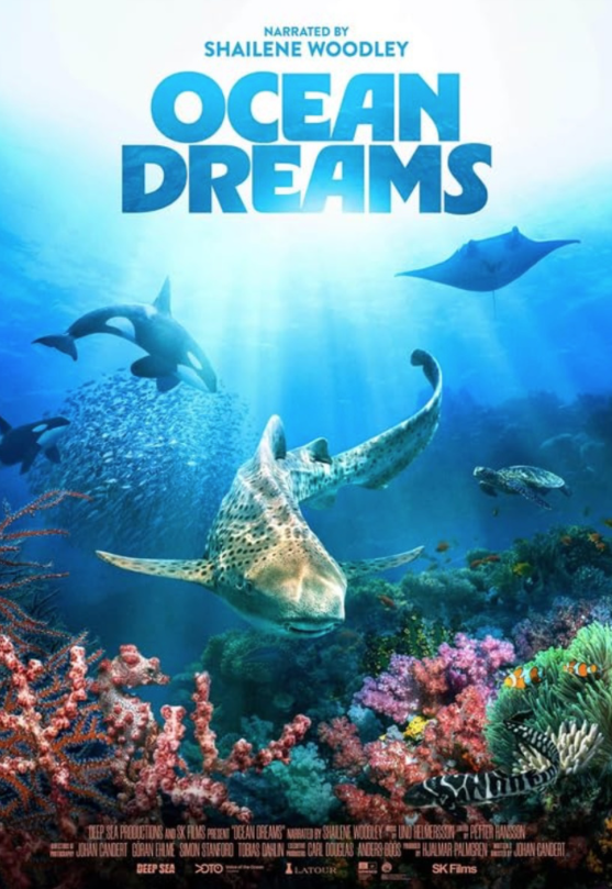 Ocean Dreams — filmaffisch