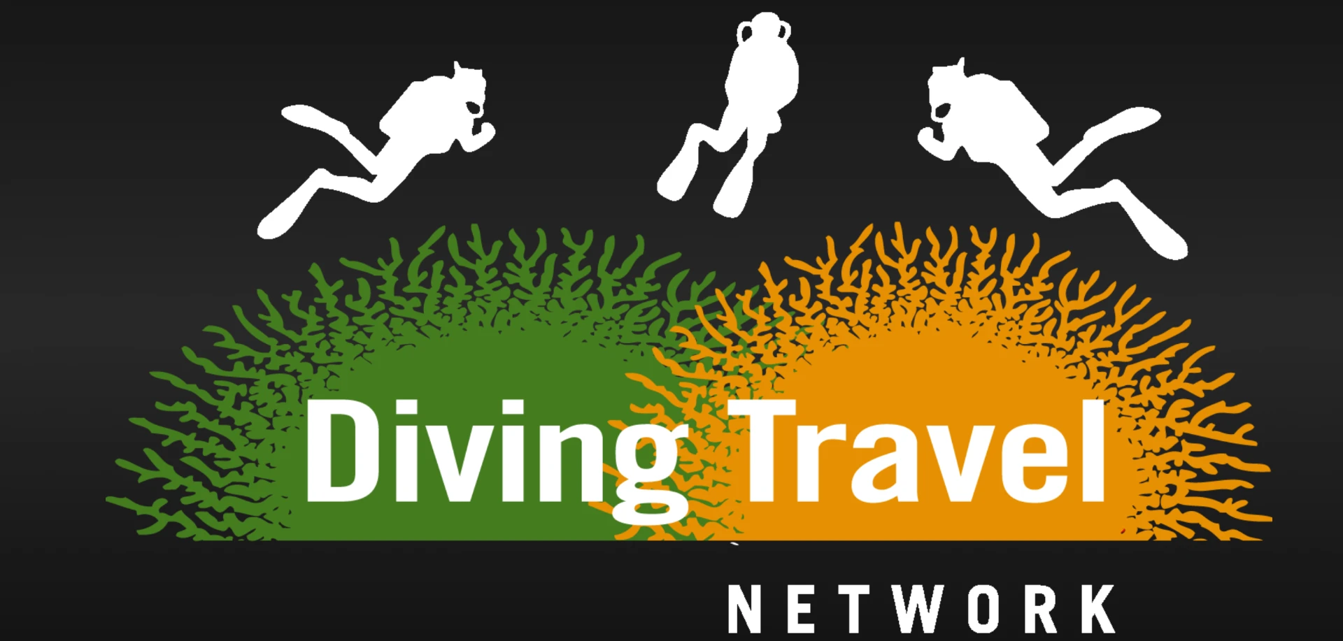 Diving Travel Network logotyp
