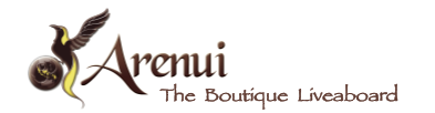 The Arenui logotyp